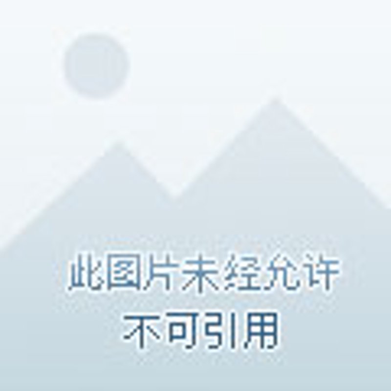 大连婚介行业:寻找爱情的最佳指南