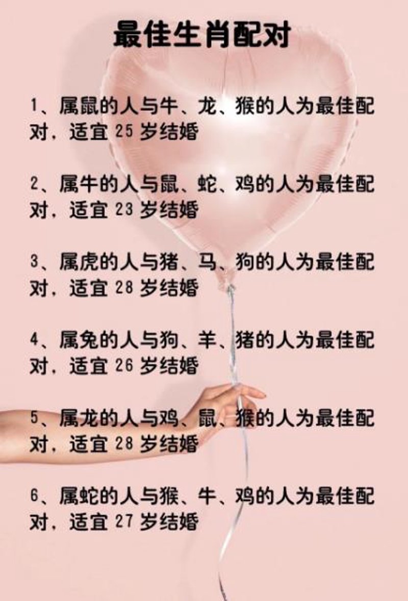 寻找理想伴侣:婚恋介绍平台选购指南